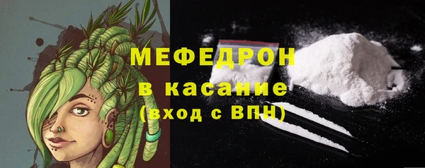 индика Нязепетровск