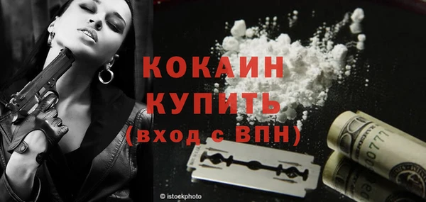 индика Нязепетровск