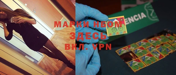 индика Нязепетровск