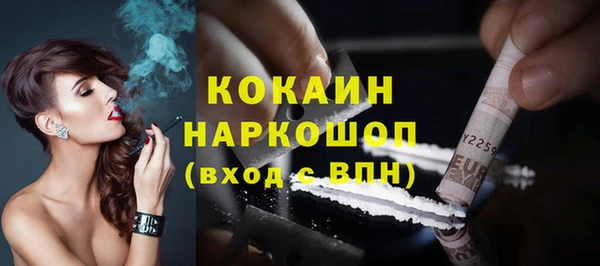 индика Нязепетровск