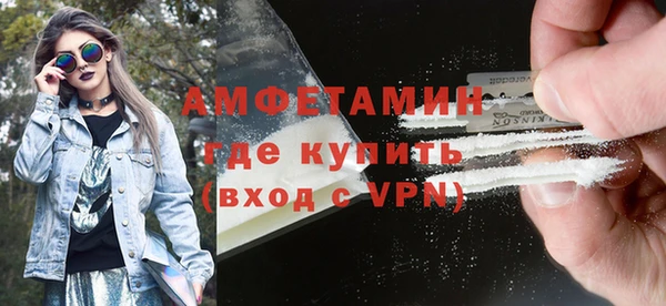 индика Нязепетровск