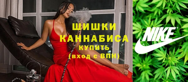 индика Нязепетровск