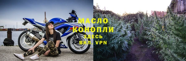 индика Нязепетровск