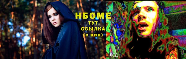 индика Нязепетровск