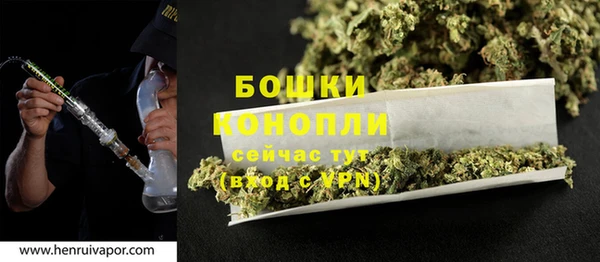 индика Нязепетровск