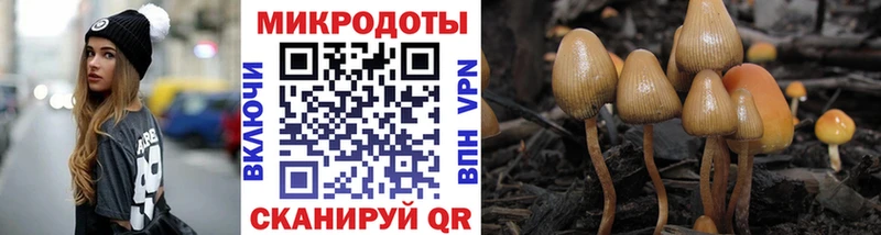 Галлюциногенные грибы Psilocybine cubensis  Кораблино 